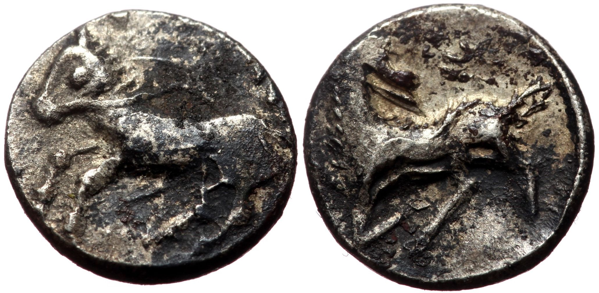 Kelenderis, Type XO.1