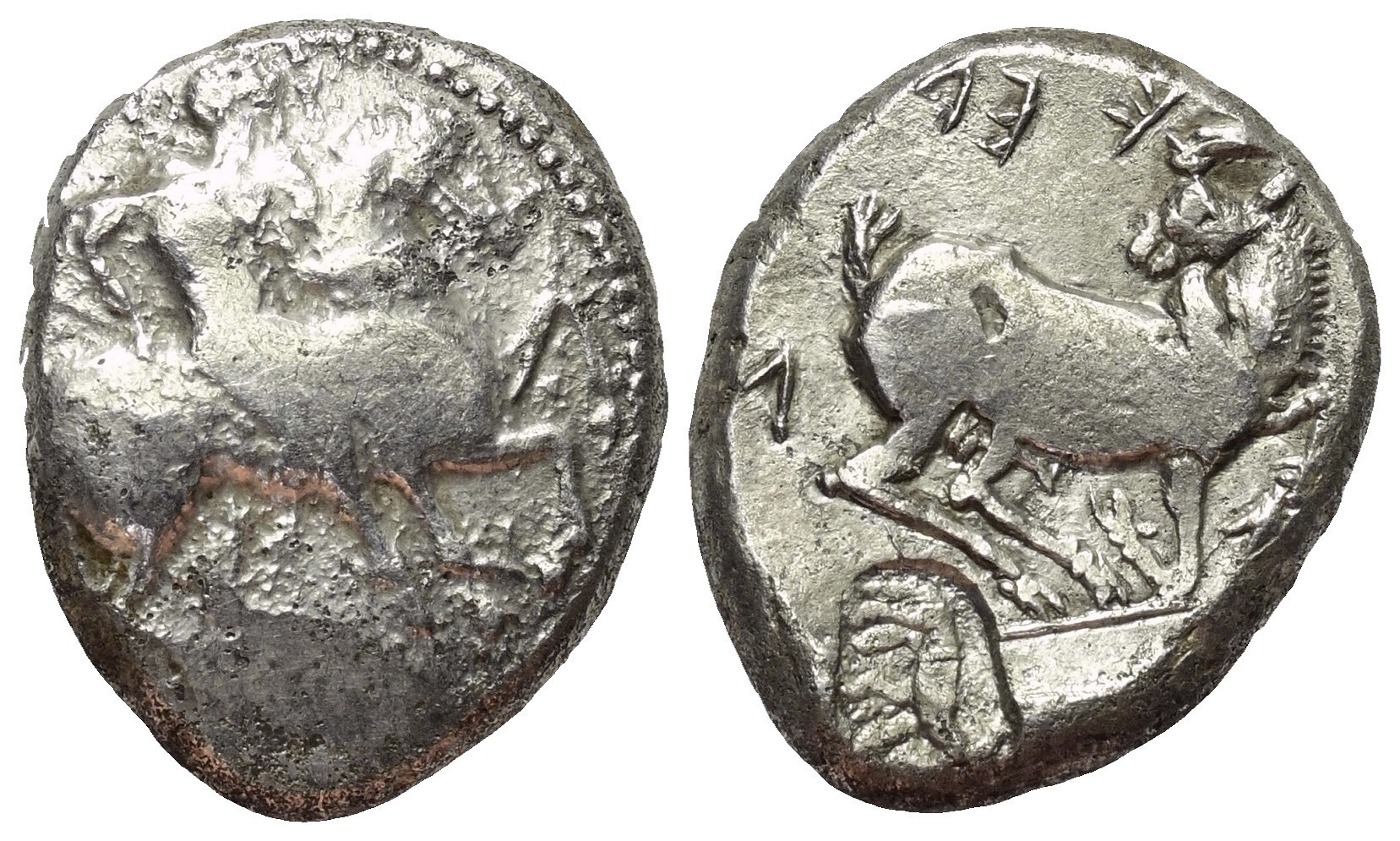 Kelenderis, Type XS.6